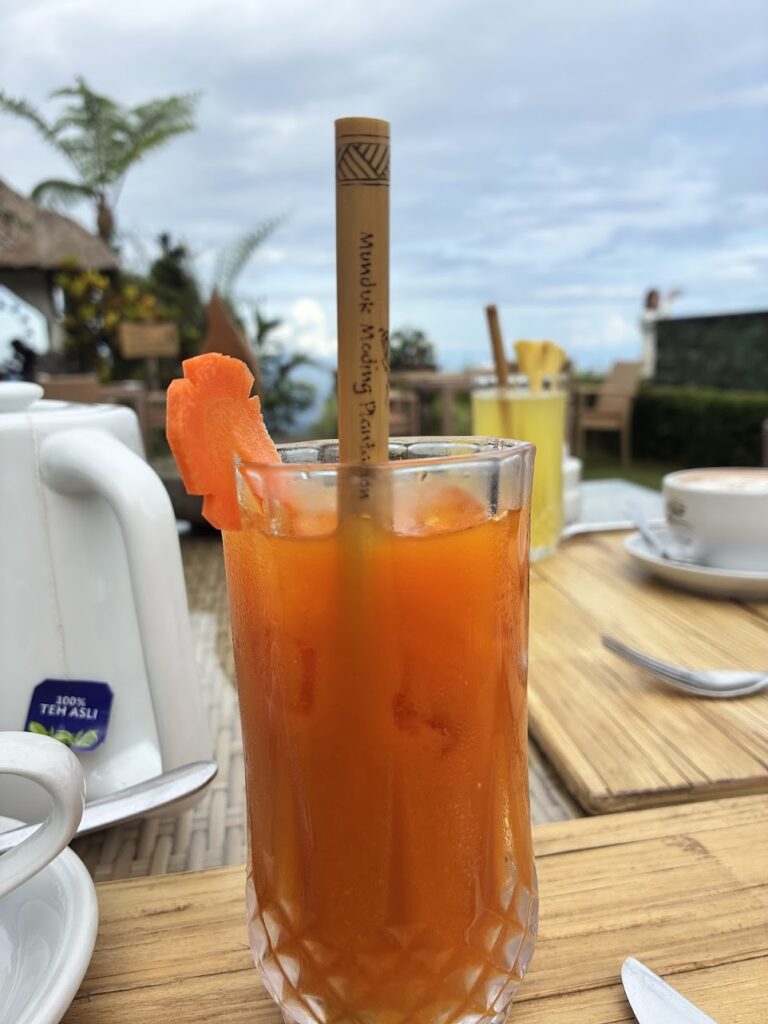 Munduk Moding Plantation Nature Resort