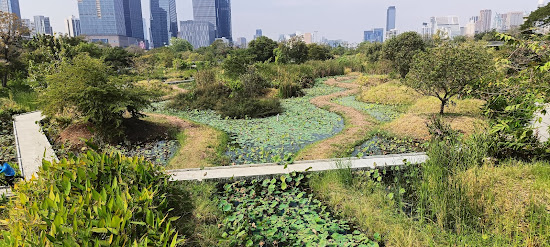 לנשום ירוק בבנגקוק: המדריך לפינות החמד הנסתרות של העיר
