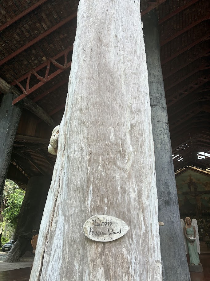 Woodland Muangmai