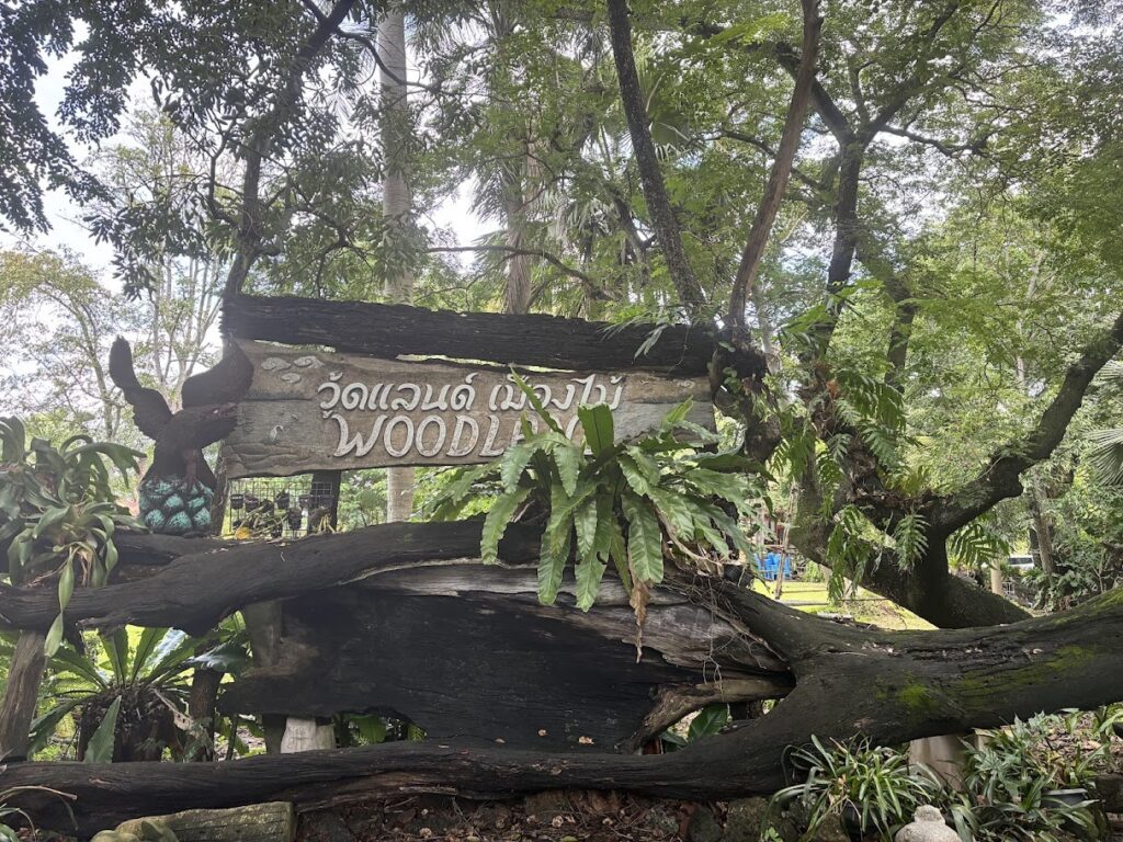 Woodland Muangmai