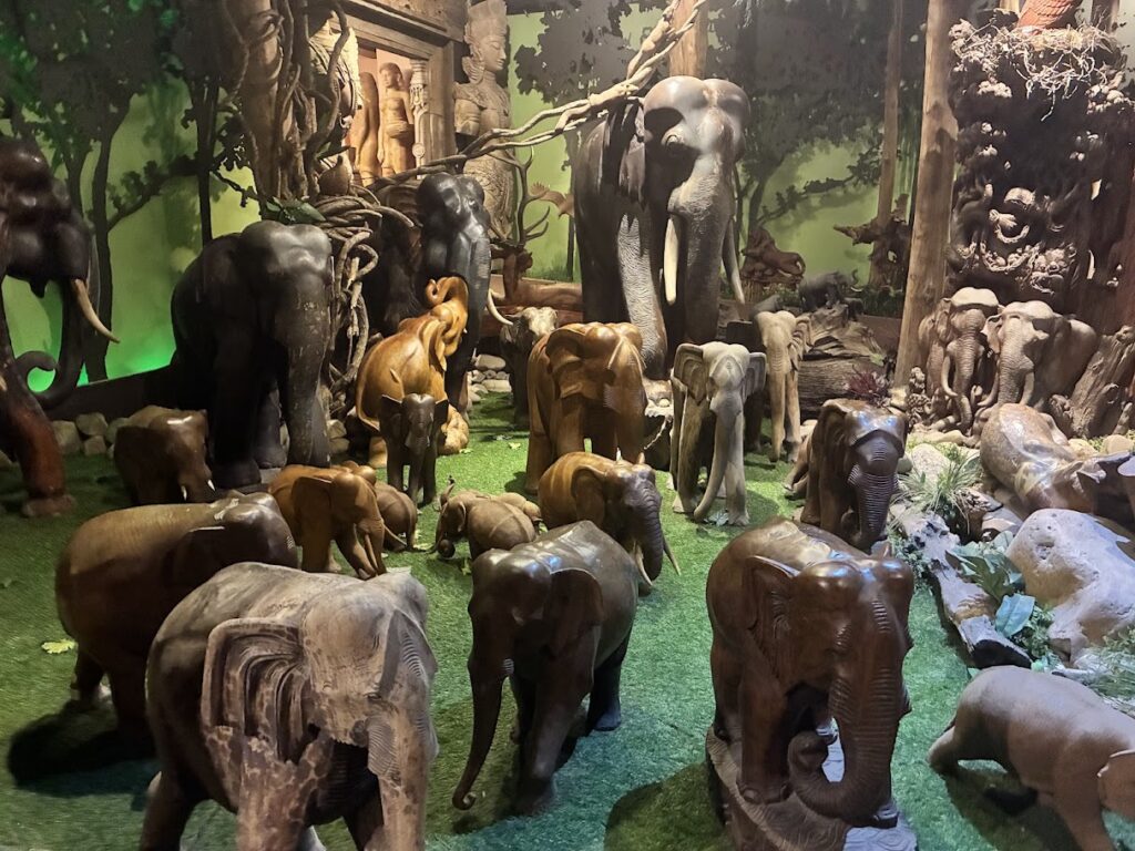 Woodland Muangmai