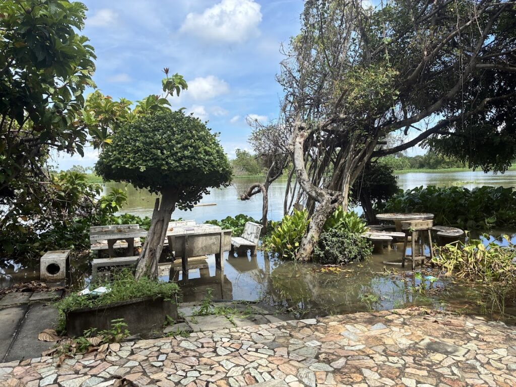 Woodland Muangmai